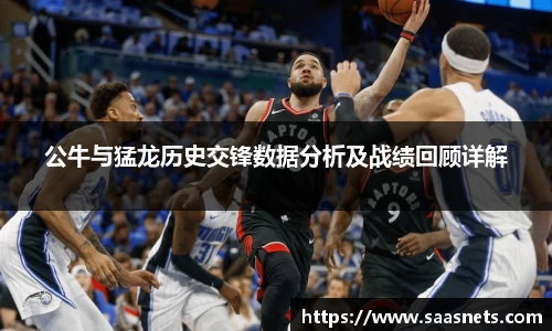 公牛与猛龙历史交锋数据分析及战绩回顾详解