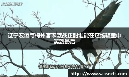leyu乐鱼平台